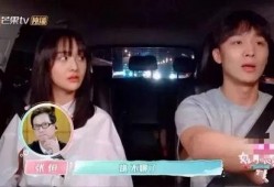 恐丑的娱乐吃瓜人,娱乐吃瓜者的欢乐与困惑